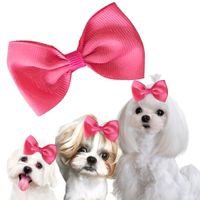 MOÑO PARA MASCOTAS FRESA- GRANDE