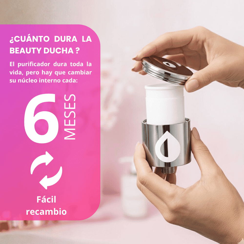 Núcleo Recambio Beauty Ducha Iguazu