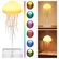 imageUrl_3
