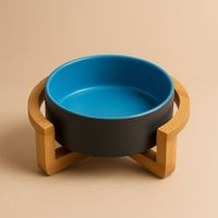 AquaPet Deluxe Bebedero Elevado para Mascotas