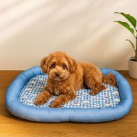 Summer Sleep - Cama Refrescante para Mascotas - Talla XL - Azul