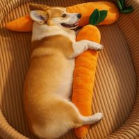 Juguete Divertido  Juguete para Mascotas - Naranja