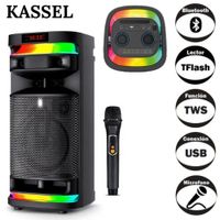 Parlante Kassel K828 Boofer 8 Pulgadas Luces RBG 01 Micrófono