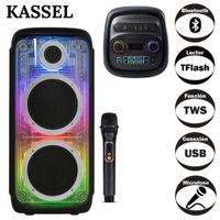 Parlante Torre Portátil K2825 02 boufer de 8 Pulgadas Luces RGB Karaoke