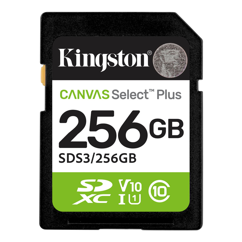 MEMORIA SD KINGSTON 256GB