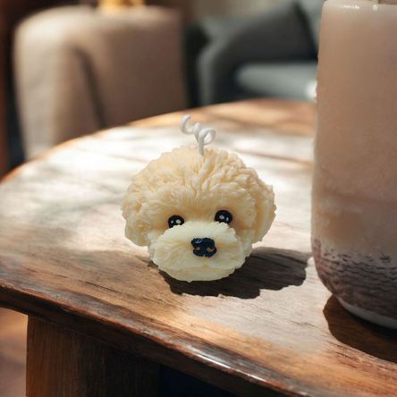 imageUrl_1 imageUrl_1