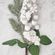 imageUrl_3