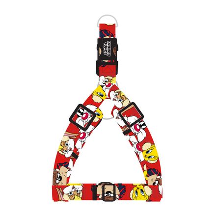 imageUrl_1 imageUrl_1