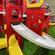 imageUrl_6