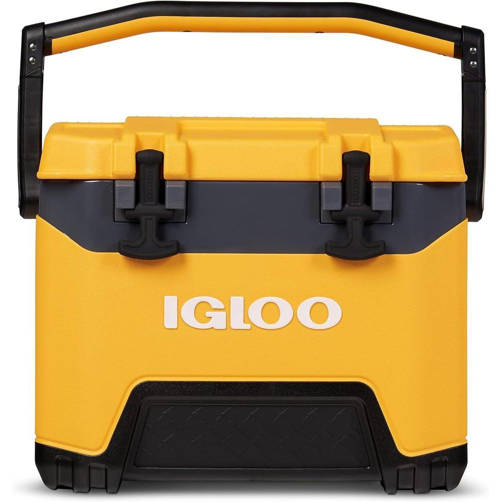 Hielera Igloo BMX 25L Celadon