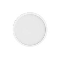 Lámpara LED Techo D20 Xiaomi Smart 900 lm Sensor Luz Control Voz IP50 17W