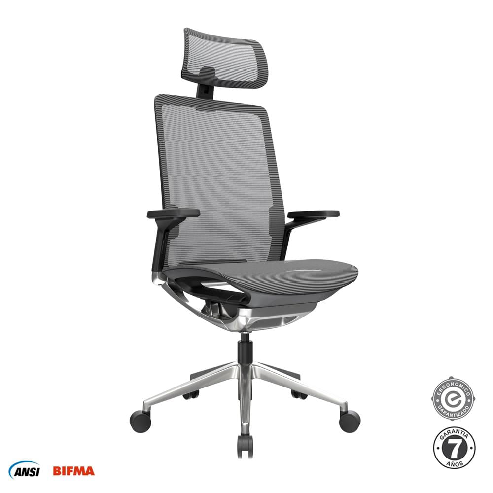 Silla Ergonómica Dream Presidente Negro Althea Confort