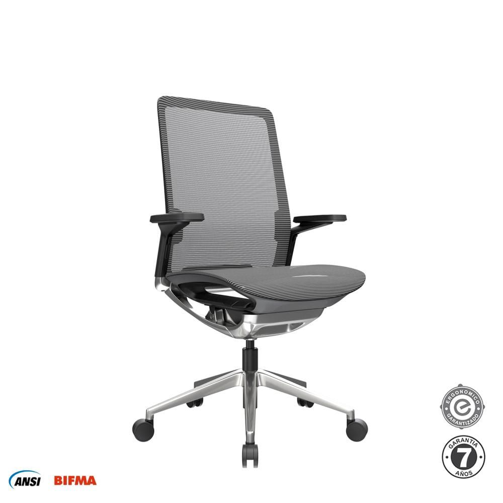 Silla Ergonómica Dream Gerente Negro Althea Confort