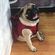 imageUrl_8