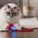 imageUrl_2