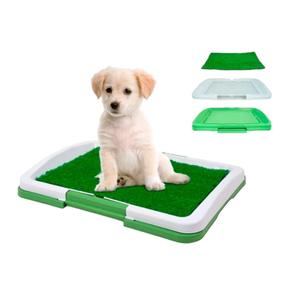 Baño Ecológico Entrenador Para Mascotas Perros Con Cesped Lavable Baño Ecológico Entrenador Para Mascotas Perros Con Cesped Lavable