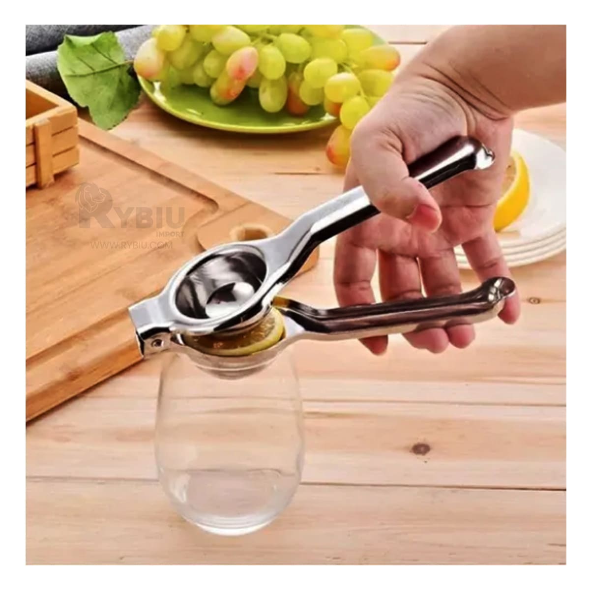 Exprimidor para la Cocina en Plateado Y+Stickers