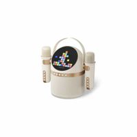 Parlante Philips TAS2509 20W