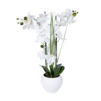 Orquídea Blanca en cerámica Atmosphera