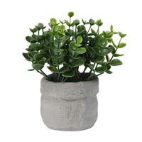 Bolsa Vegetal Verde Cemento 15cm Atmosphera