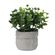 152261