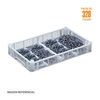 Pack de 328 Cajas Bulk Pallet P21 Polinplast