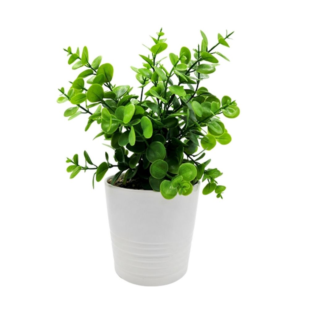 Planta Artificial Orange Monedita con Maceta Cerámica