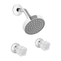 Mezcladora de Ducha Trebol Dalia 8"" en Bronce Color Plata