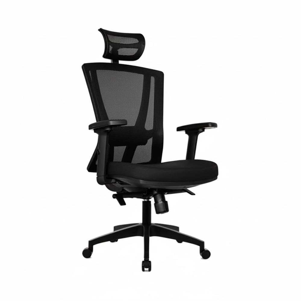 Silla Ergonómica Winner Presidente Brazos 1D Nylon Negro Ofideas