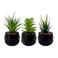 Plantas Artificiales Set x 3 Negro Value Deco
