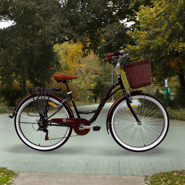 bicicletas-urbanas