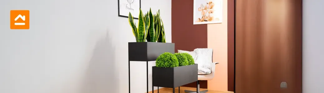 maceta-decorativa-en-casa