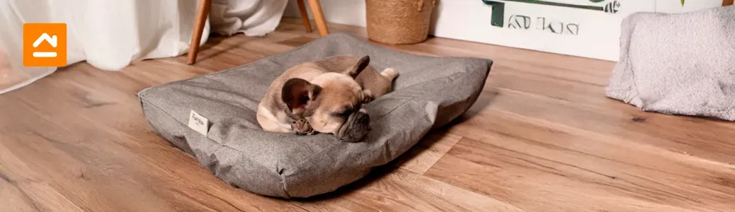 modelos-de-camas-para-perros