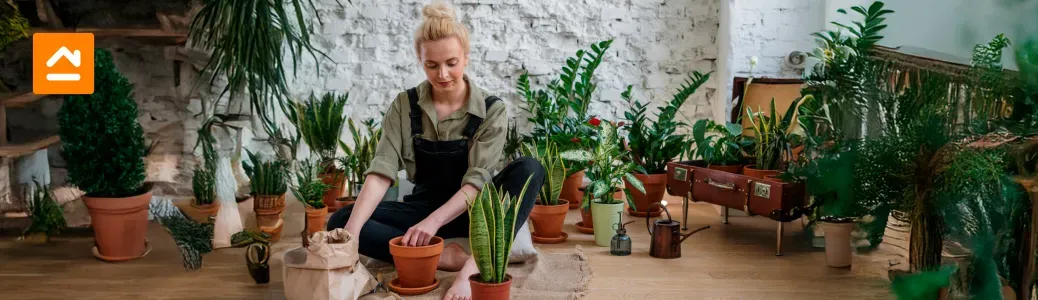 persona-colocando-maceta-terraza